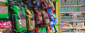do amish use tobacco HOW and WHY is Tobacco Cultivated in Lancaster County's AMISH and MENNONITE  Land