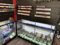 elfbar nachfüll pod läuft aus Vape Shop Boise Variety Custom Vapor main image 0