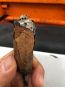 connecticut shade tobacco The Secret Life of Shade Tobacco