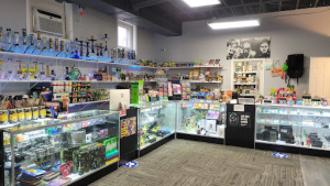 Vape Shops in Coventry Township, Ohio