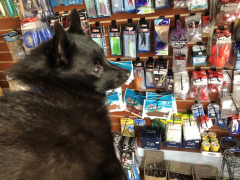 do vapes set off smoke detectors Smoke Shops in Marina, California