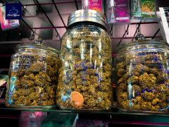 elfbar nachfüll pod läuft aus Smoke Shops in Boca Raton, Florida