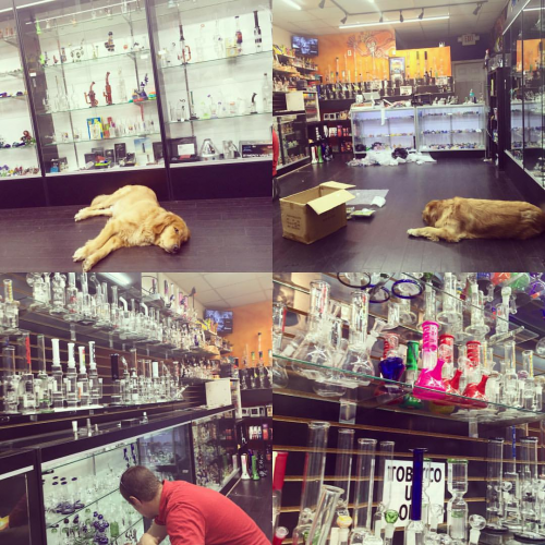 Puff Puff Pass Smoke & Vape Shop Smoke Shop in Fort Lauderdale, FL