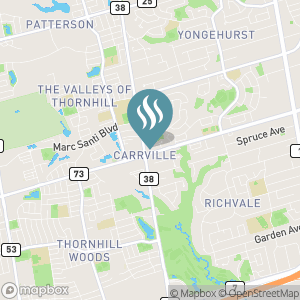 Ace Vaper Vape Shop, Vaporizers, Vape Juice, Vape Mods in Richmond Hill, ON