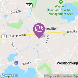 OM Smoke Shop, Tobacco, Vapes, Glass Pipes, Cigars in Westborough, MA