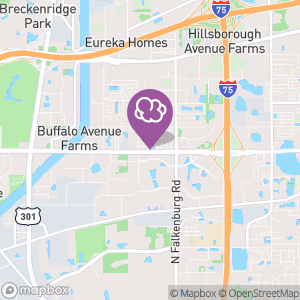 Galaxy Smoke Shop and Hookah Lounge, Tobacco, Vapes in Tampa, FL