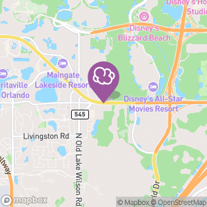 419 Smoke Shop By The Parks, Tobacco, Vapes, Glass Pipes in Kissimmee, FL 419 Smoke Shop By The Parks, Tobacco, Vapes, Glass Pipes in Kissimmee, FL