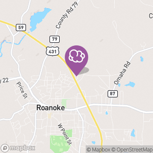 EZ Discount Tobacco & Vape Smoke Shop, Tobacco in Roanoke, AL