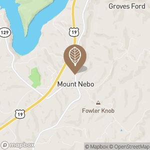King Cut Rate Tobacco Tobacco Shop, Tobacco, Cigars in Mt Nebo, WV