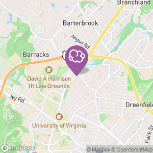 berry dip tobacco Berry-Flavored Nicotine Pouches