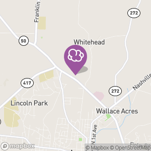 Mad Smoke & Vape Smoke Shop, Tobacco, Vapes in Lewisburg, TN